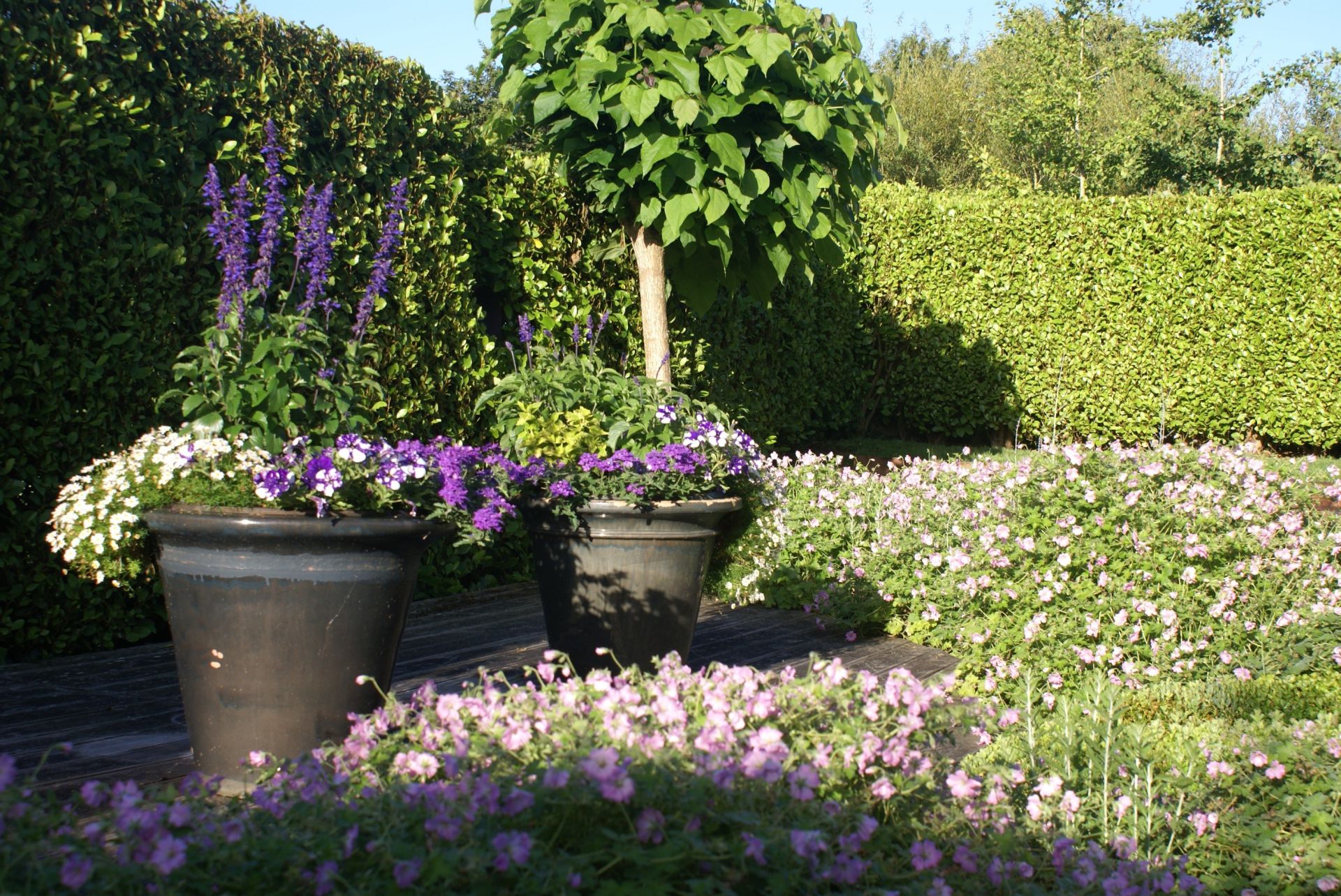 propriété 8 Pièces en vente sur PLOUEC DU TRIEUX (22260)