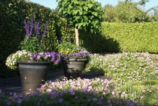 propriété 8 Pièces en vente sur PLOUEC DU TRIEUX (22260)