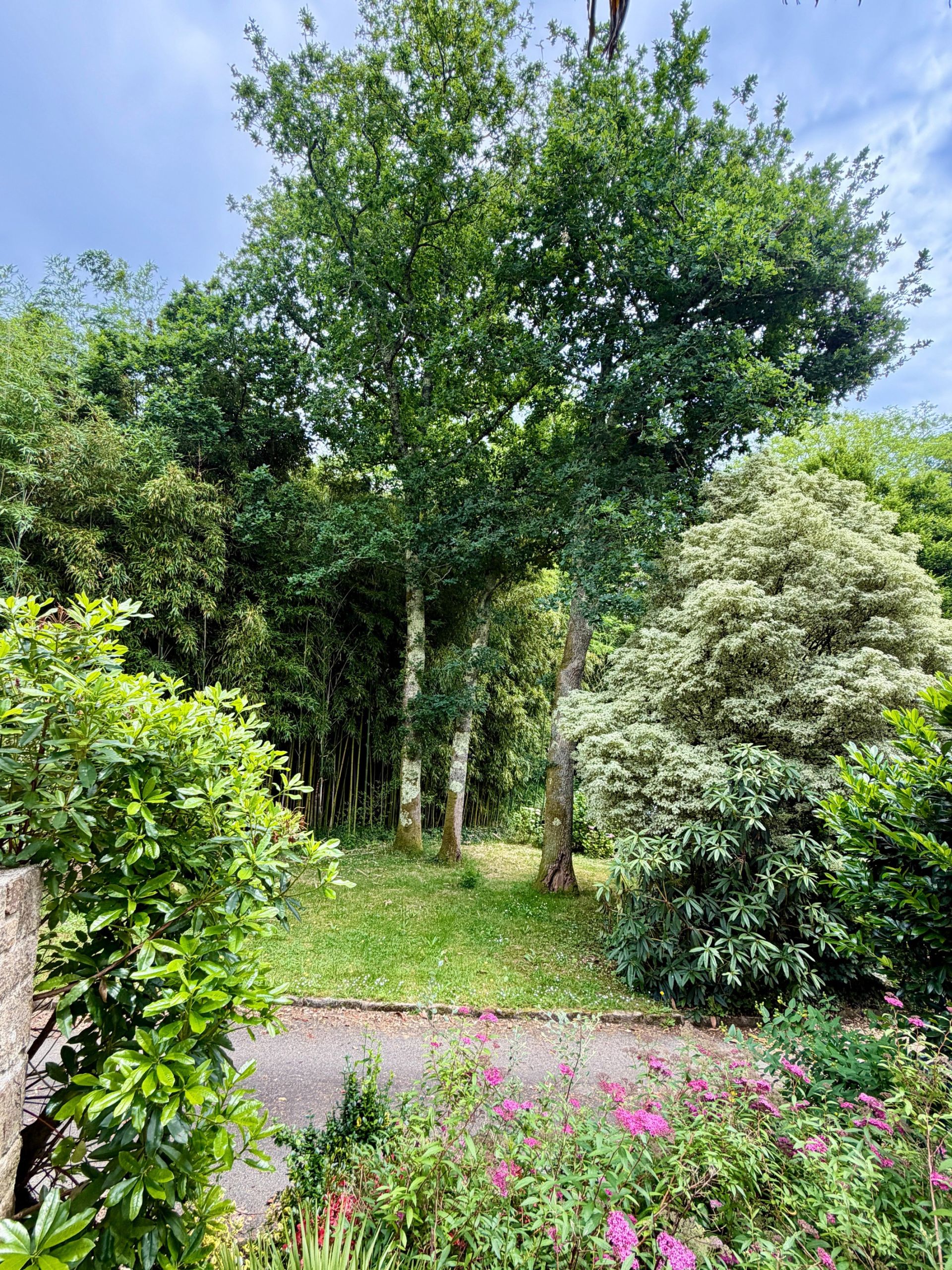 maison 12 Pièces en vente sur QUIMPER (29000)