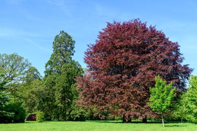 Sale Manor house La Vraie-Croix 14&nbsp;Rooms 550&nbsp;m²