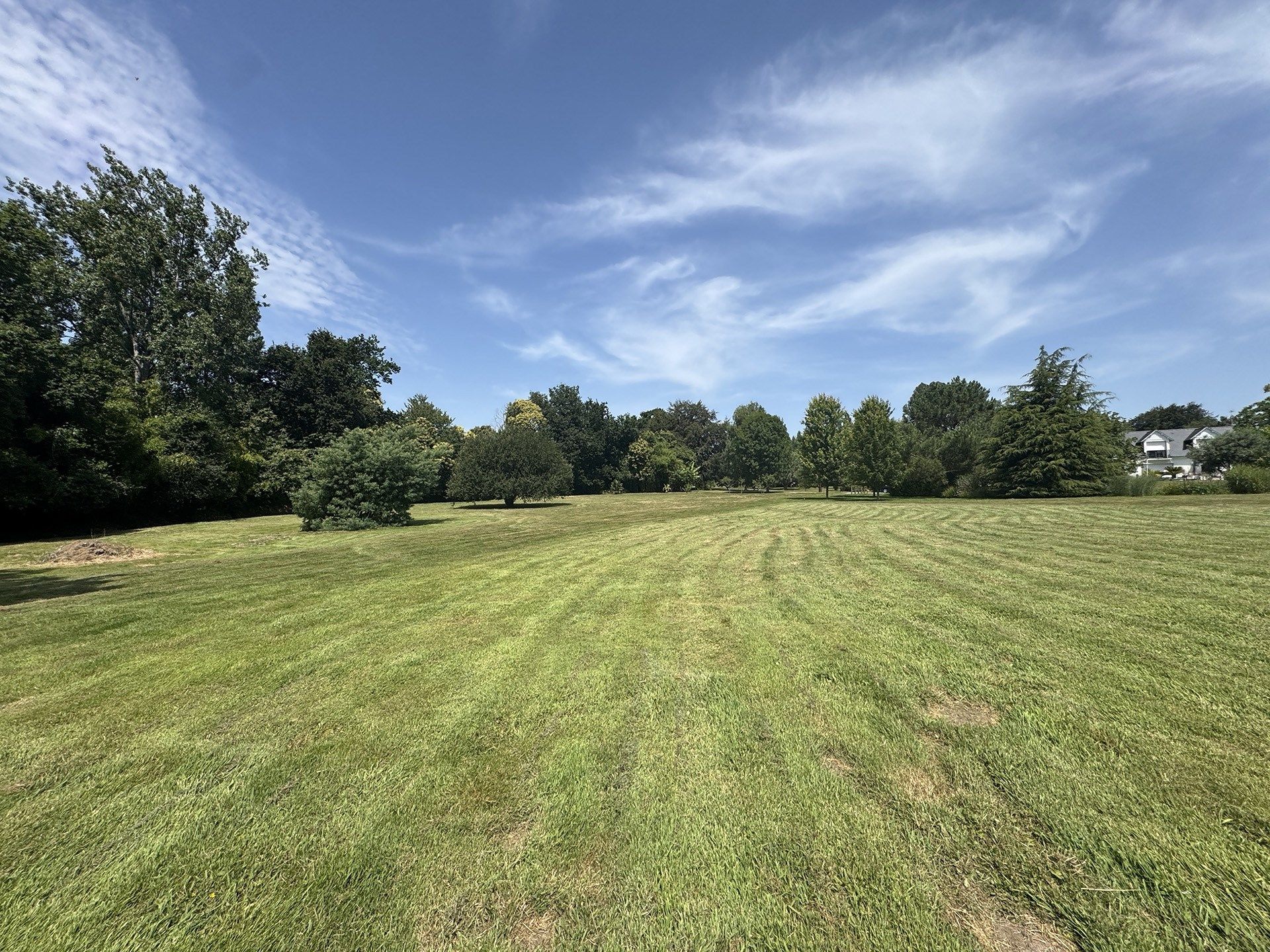 terrain en vente sur CLOHARS FOUESNANT (29950)