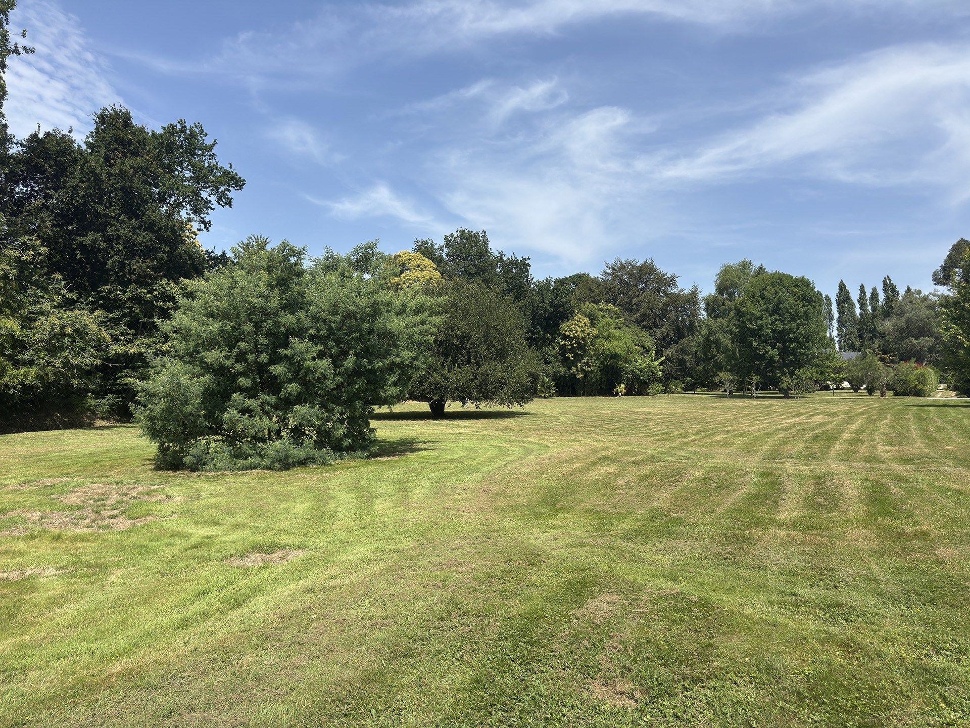 terrain en vente sur CLOHARS FOUESNANT (29950)