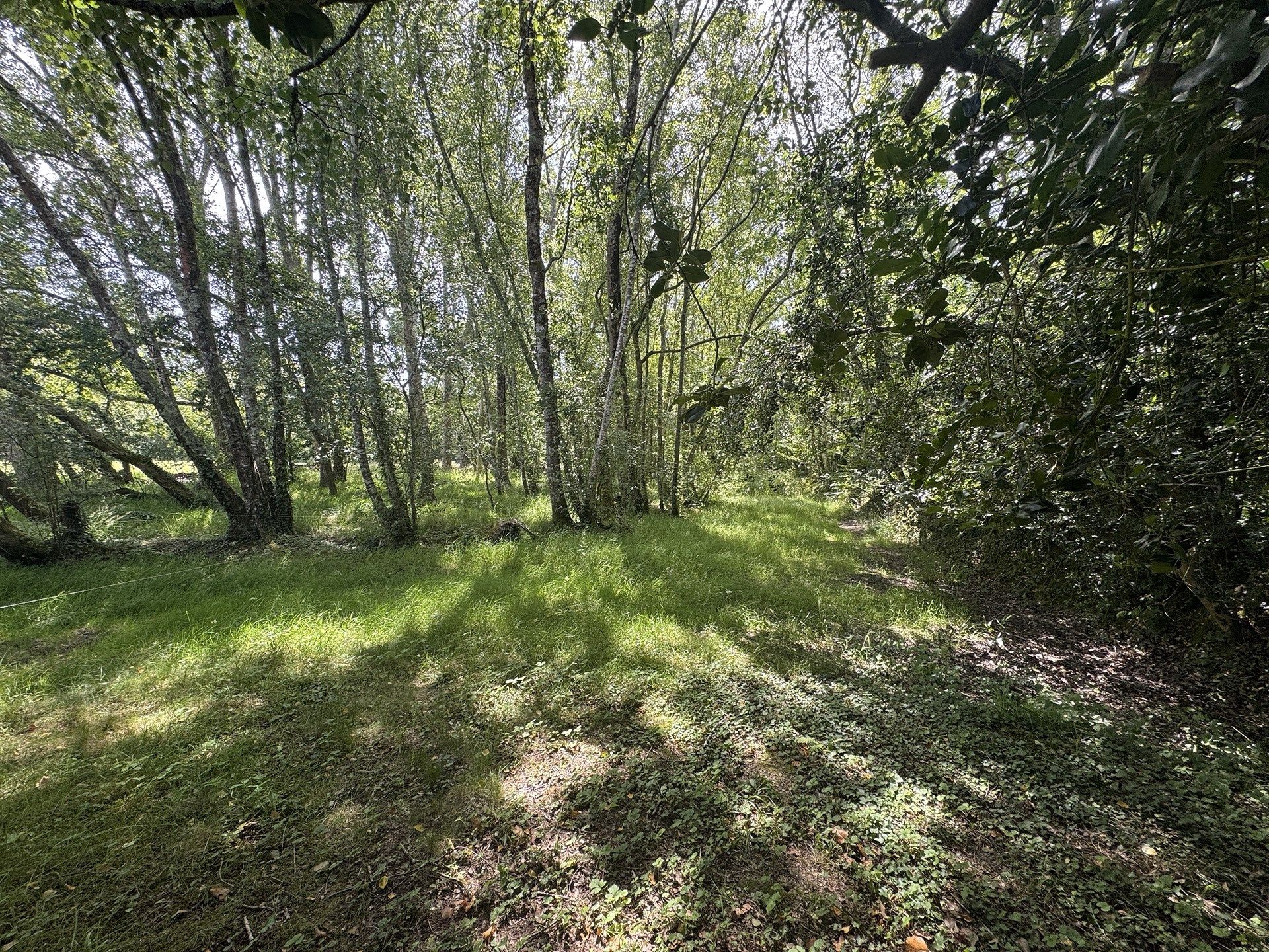 terrain en vente sur CLOHARS FOUESNANT (29950)