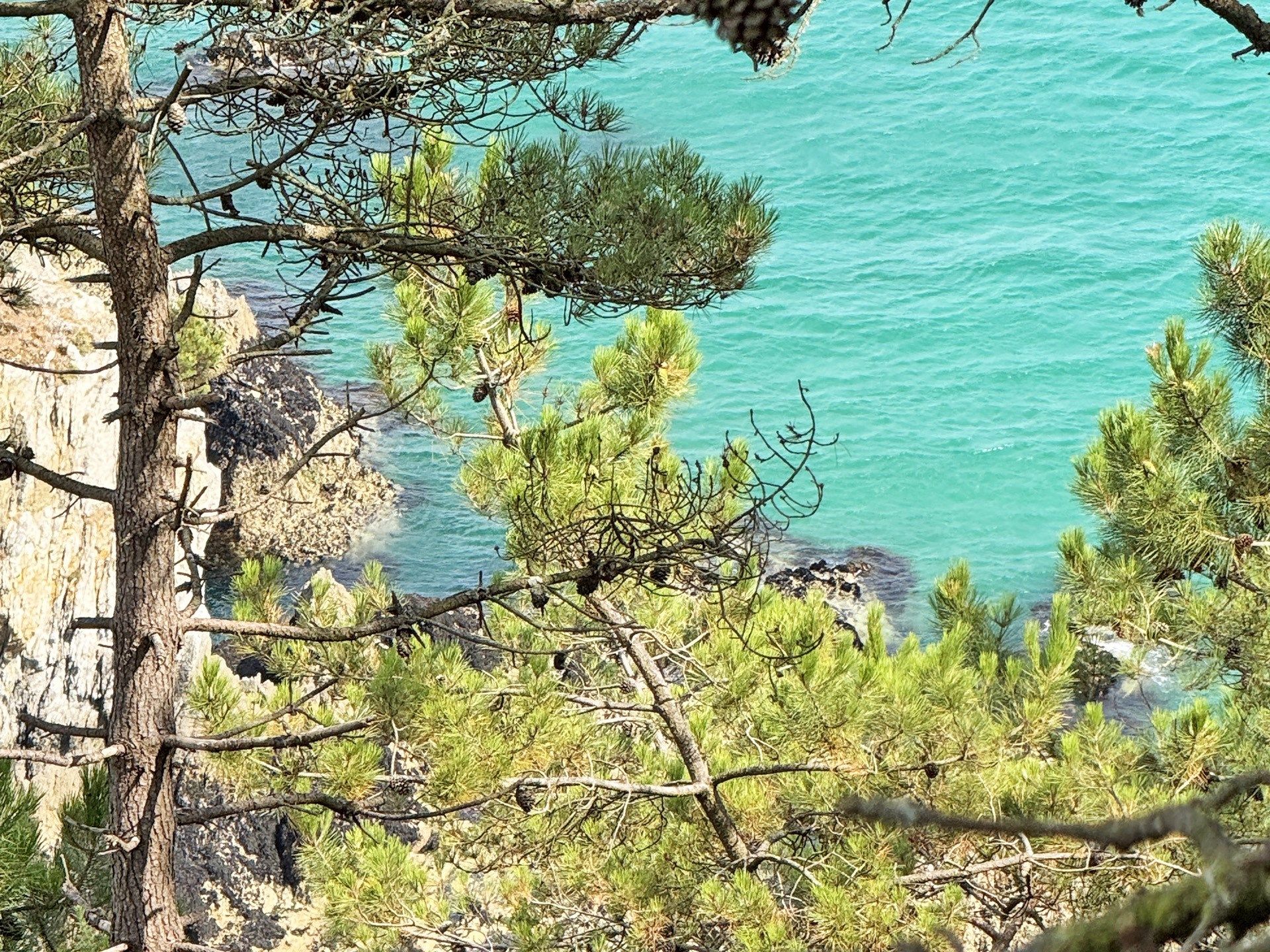 maison 10 Pièces en vente sur CROZON (29160)