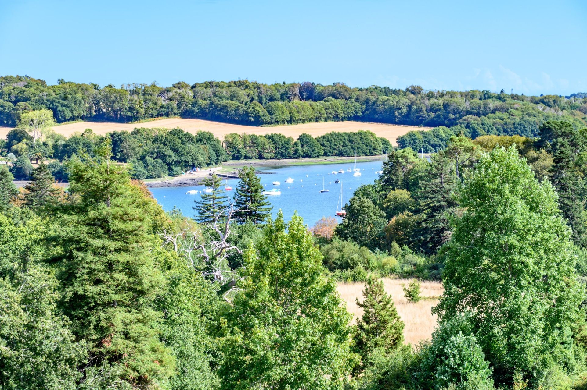 château 20 Pièces en vente sur QUIMPER (29000)