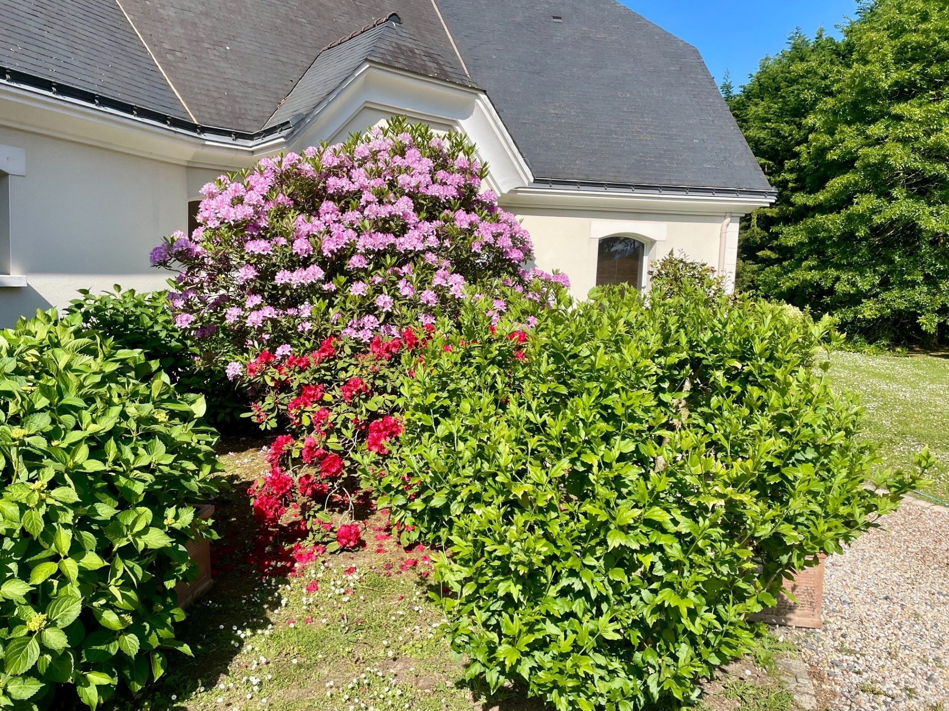 maison 6 Pièces en vente sur LA BAULE ESCOUBLAC (44500)